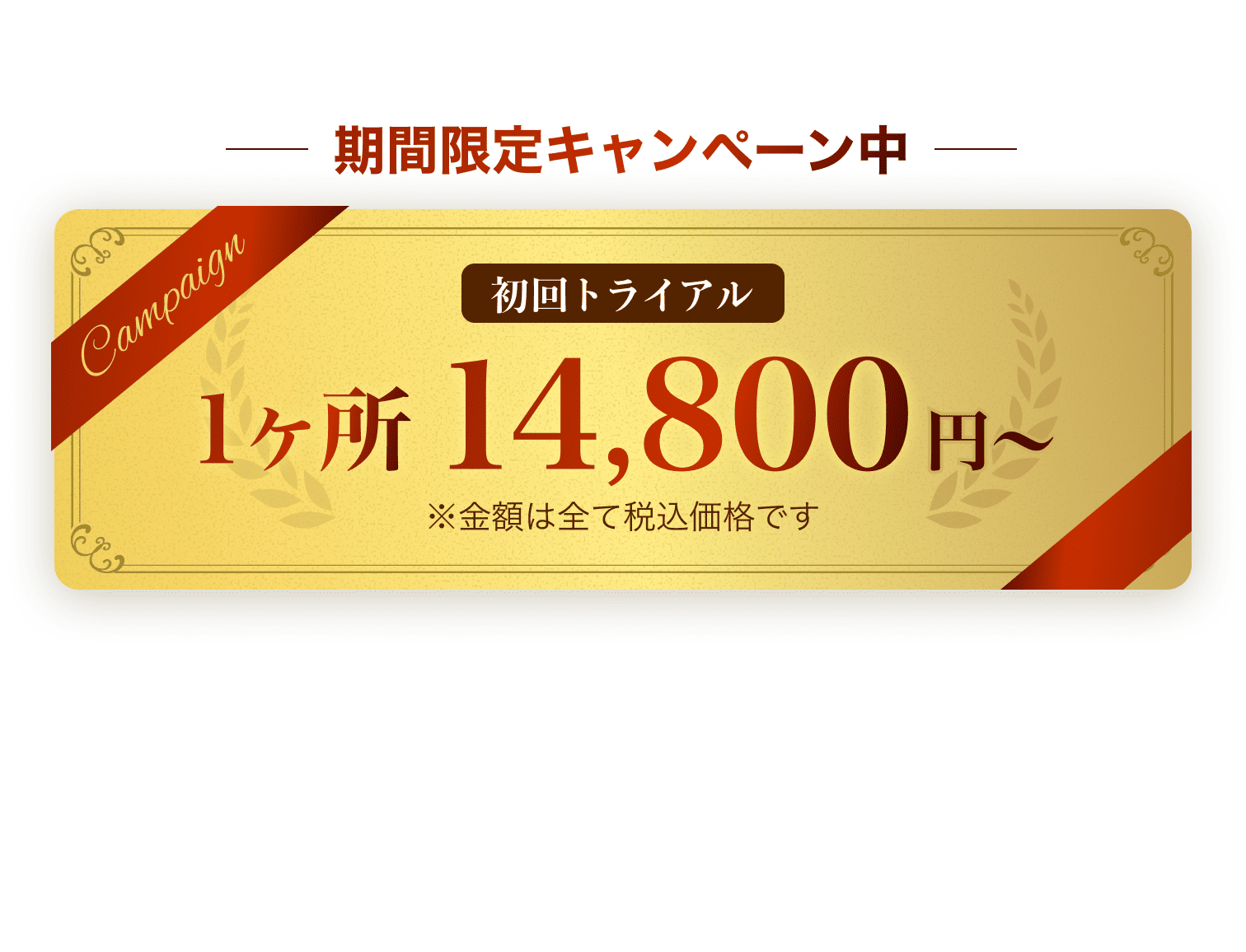 セクション画像
