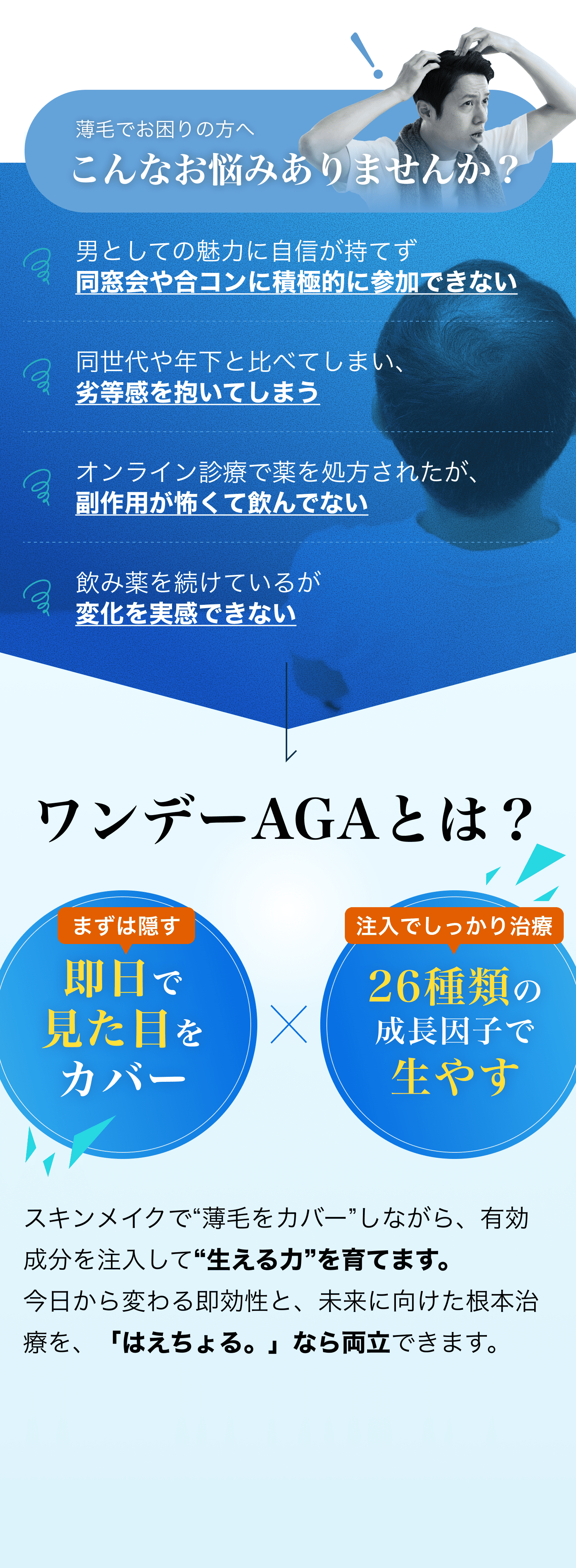 セクション画像