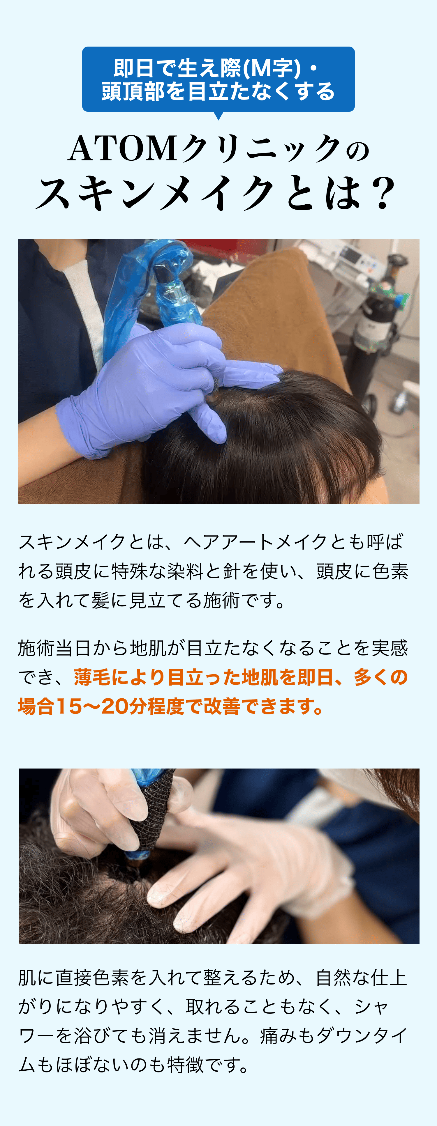 セクション画像