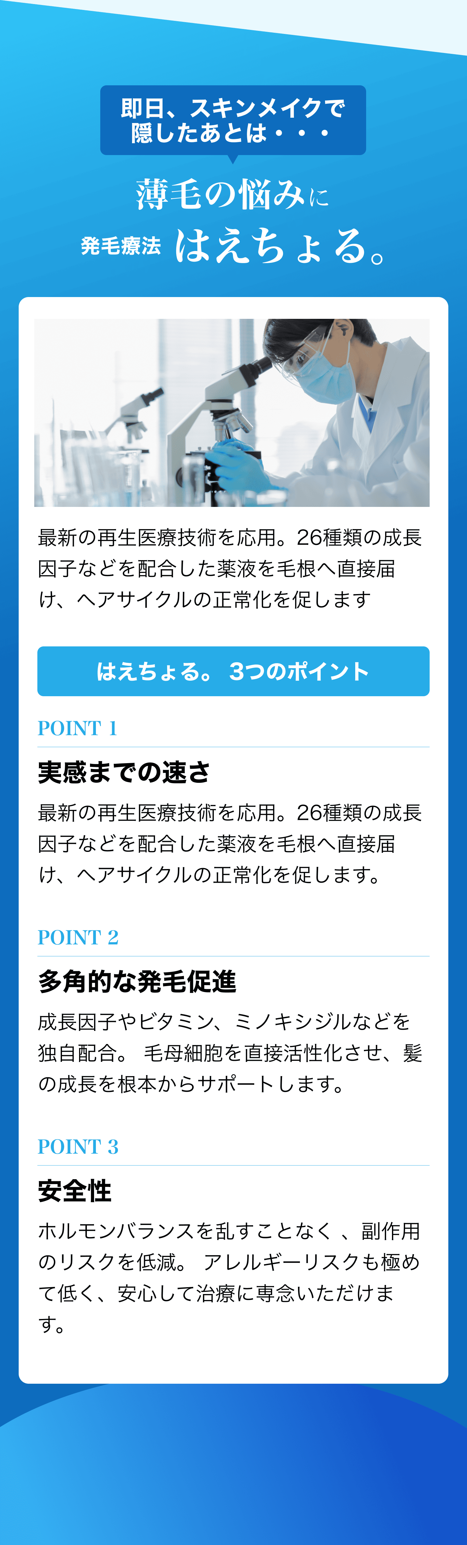 セクション画像
