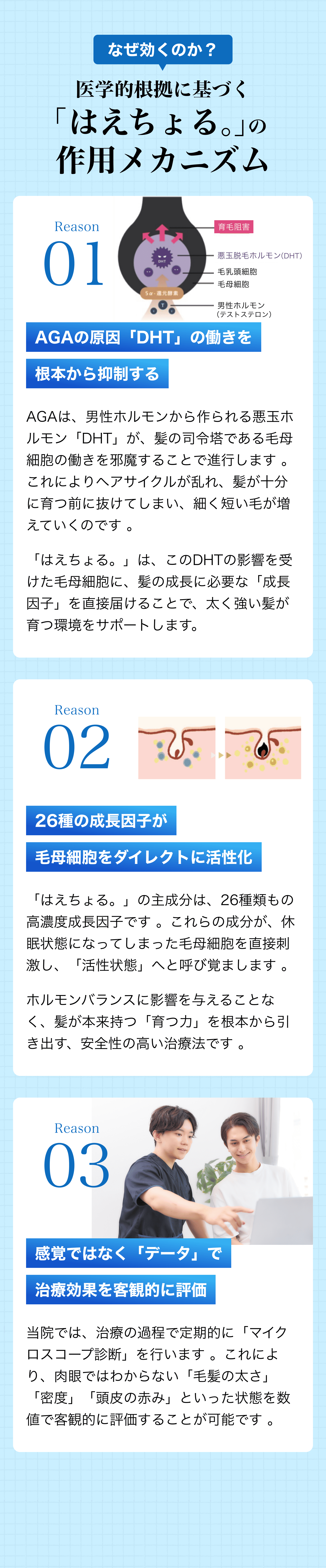 セクション画像