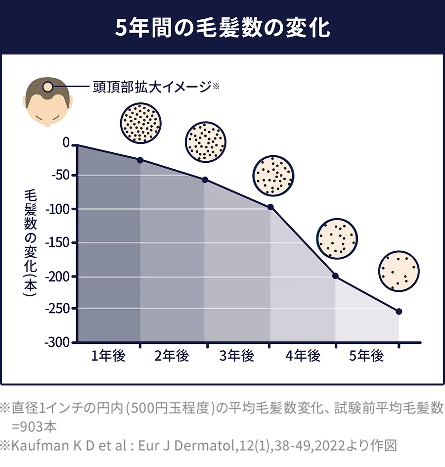 セクション画像