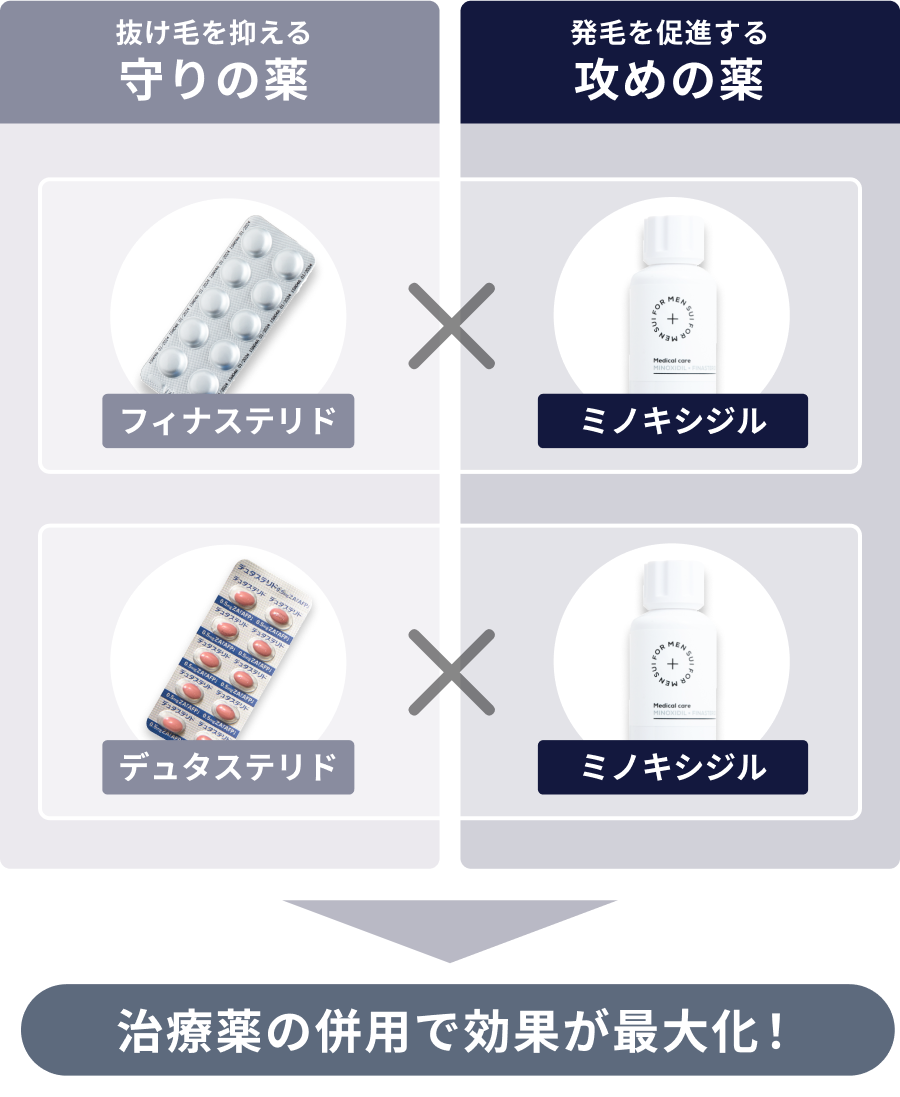 セクション画像