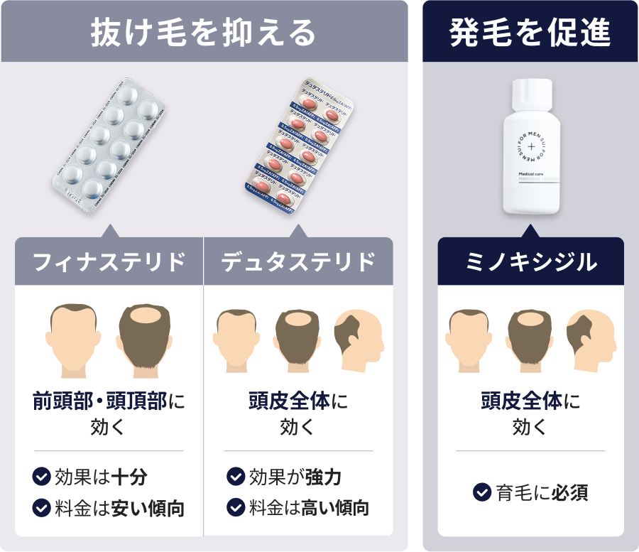 セクション画像