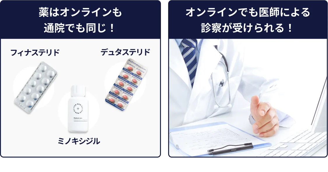 セクション画像