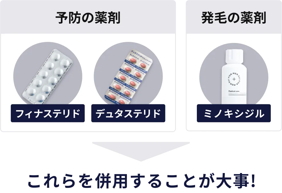 セクション画像