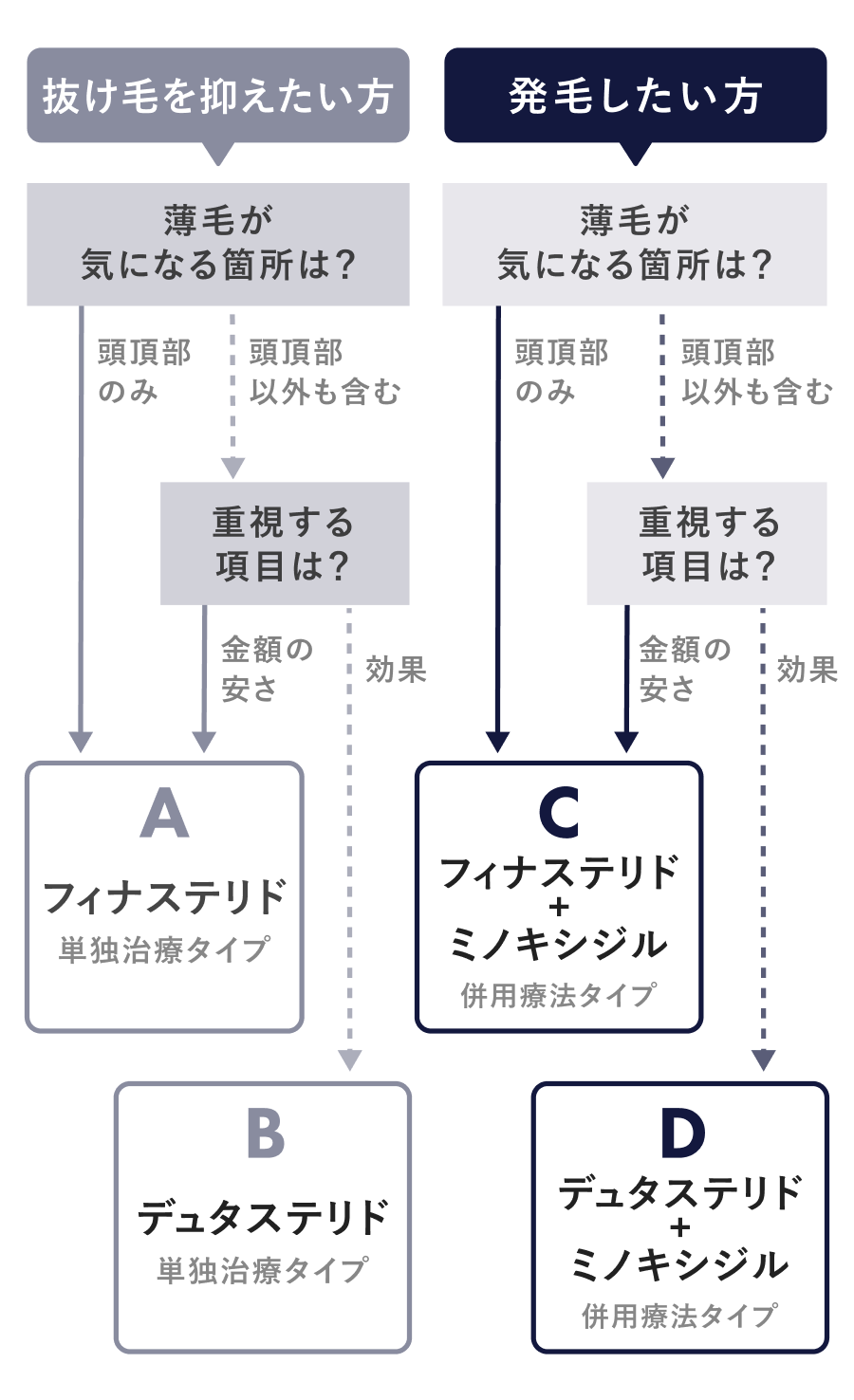 セクション画像